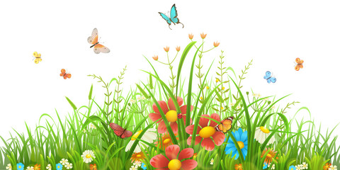 Vector green grass with flowers and butterflies on white