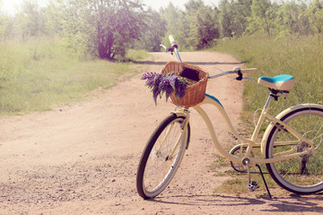 floral walks in the fresh air/ Rural road with a bicycle and a basket of wildflowers 