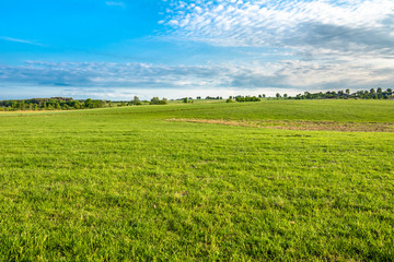 Fototapeta na wymiar Green field, landscape of meadow with grass and blue sky in spring