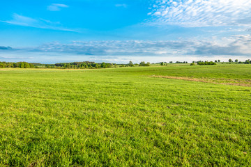 Fototapeta na wymiar Green field with fresh green grass and blue sky, countryside landscape