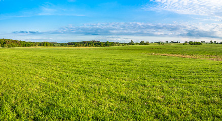 Fototapeta na wymiar Green field, panorama of meadow with grass in spring..