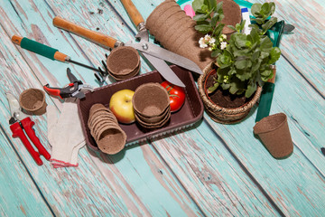 Garden tools and peat pots for seedlings on a wooden background with space for text