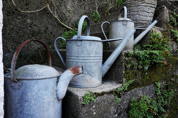 Three old galvanise tin watering cans arranged on stone garden steps, with plants growing in cracks on wall.
