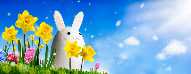 Fototapeta premium Osterhase sitzt auf einer Wiese 