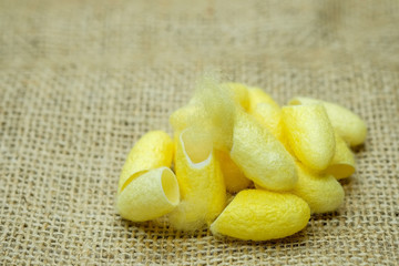 Yellow silkworm on sackcloth brown.