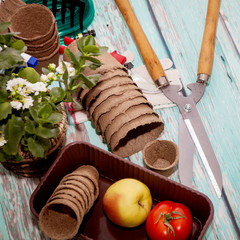 Set of garden tools on a wooden background. Gardening. Seedlings, containers for seedlings