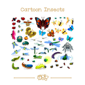 

Cartoon animals collection toons: insects SET 1