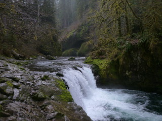 Fototapeta premium Exploring the Pacific Northwest