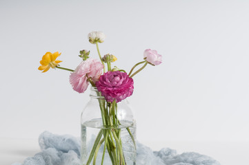 Light and airy colorful spring ranunculus flowers in a jar