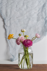 Light and airy colorful spring ranunculus flowers in a jar