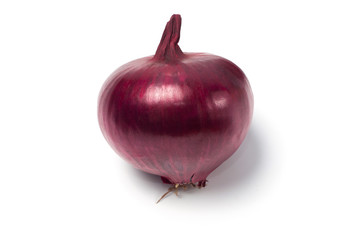 Onion on a white background