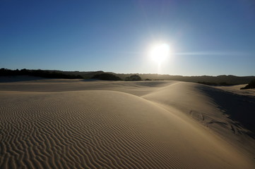 Fototapeta na wymiar Sunset over the sand dunes at Fraser Island