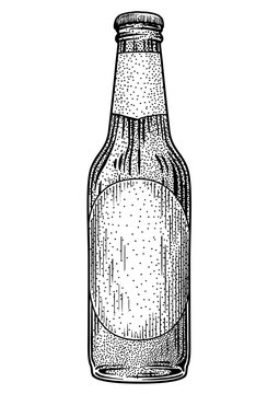 Beer bottle illustration, drawing, engraving, ink, line art, vector