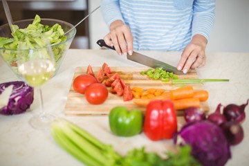 Obraz na płótnie Canvas Senior woman cutting vegetable 