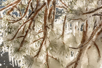 icicles ice pattern branches backgrounds