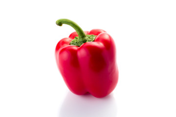 Red pepper over white background