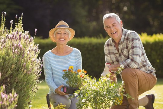 Senior Couple Gardening Together