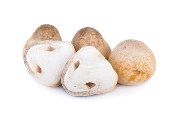 whole and half cut raw mushroom on white background