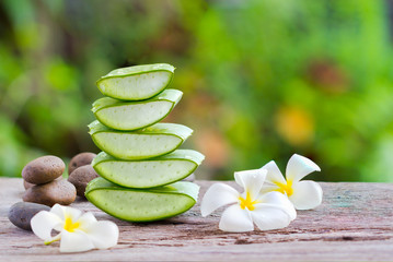 Aloe Vera (Aloe barbadensis Mill.,Star cactus, Aloe, Aloin, Jafferabad or Barbados) a very useful herbal medicine for skin treatment and use in spa for skin care.