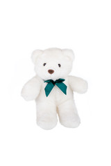 Polar bear teddy isolated on white