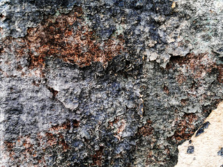  texture, dirty, surface, cement, grunge, old, background, wall, rough, crack, grungy, vintage, gloomy, concrete, abstract, scratched, stone, dark, retro, antique, aged, material, black, block, stonew