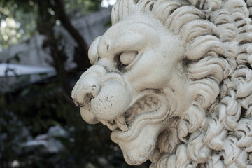 Fototapeta na wymiar Lion stone on the garden.