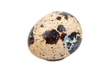 Fresh quail egg isolated on white background