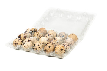 Quail eggs in a plastic container on white background