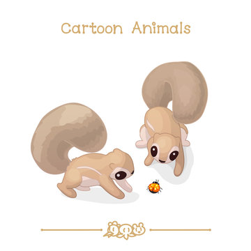 Toons series cartoon animals: african ground squirrels (xerus)
