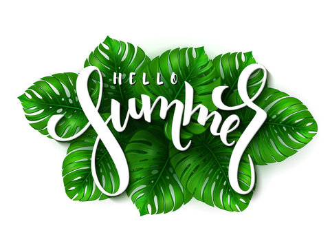 vector illustration of hand lettering - hello summer on a background of monstera leaves