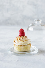 Single cupcake with fresh raspberry