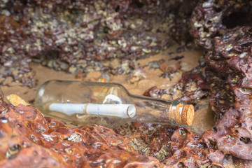 Message in a bottle stuck in the rocks.