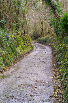 Quiet country lane in England, UK