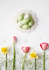 Flat lay spring flowers with green easter eggs. Tulip and narcissus. Top view