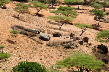 Landscapes from Kenya on the way to the Turkana lake