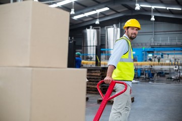 Factory worker pulling trolley of cardboard boxes in factory