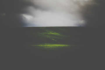 Spring field of hay grass on a stormy day in Oregon