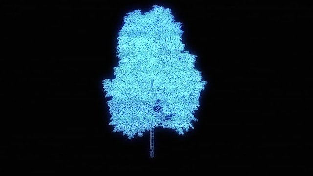  Tree Plant in Wireframe Hologram Style. Nice 3D Rendering
