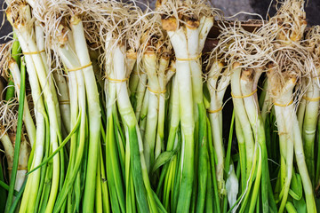 Closeup of fresh, organic, green onions produced without nitrates in the market for fruit and vegetables. Concept health and agriculture.