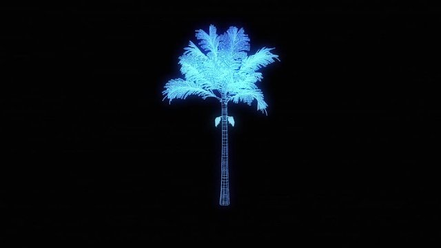  Tree Plant in Wireframe Hologram Style. Nice 3D Rendering
