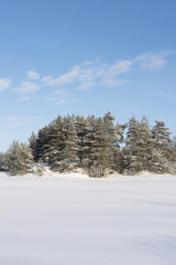 Snowy winter landscape.