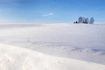 Fototapeta na wymiar Snowy winter landscape.