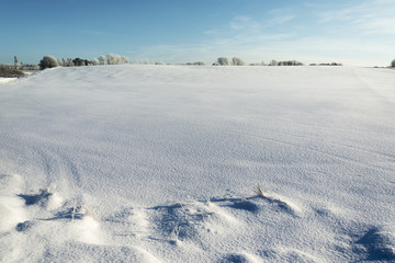 Fototapeta na wymiar Snowy winter landscape.