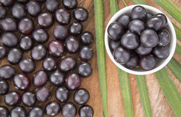 The amazon acai fruit (Euterpe oleracea)