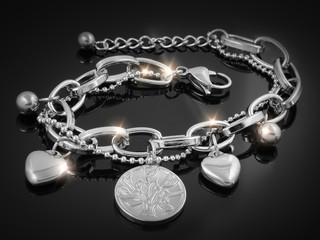 Ladies bracelet - Silver stainless steel