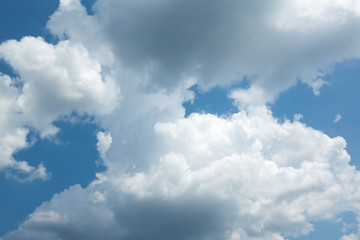 Fototapeta premium white clouds in the blue sky