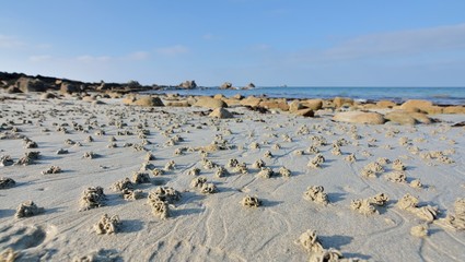 Trous formés par les vers sur une plage en Bretagne