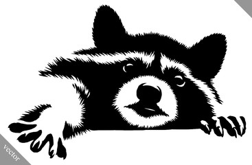 black and white linear paint draw raccoon vector illustration © Turaev