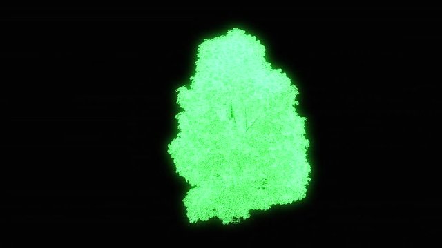  Tree Plant in Wireframe Hologram Style. Nice 3D Rendering
