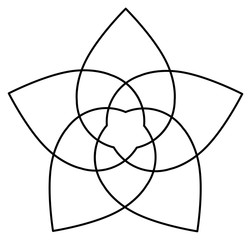 Venusblume Vektor © sunnychicka